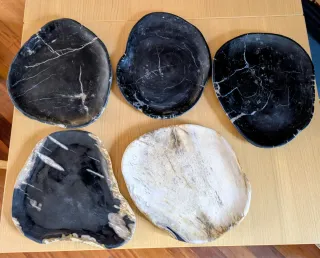 Set 5 vassoi legno fossile SOHO Balfern