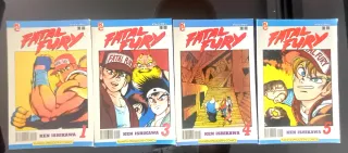 FATAL FURY
