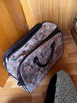 Maleta mediana con ruedas y asa extensible
