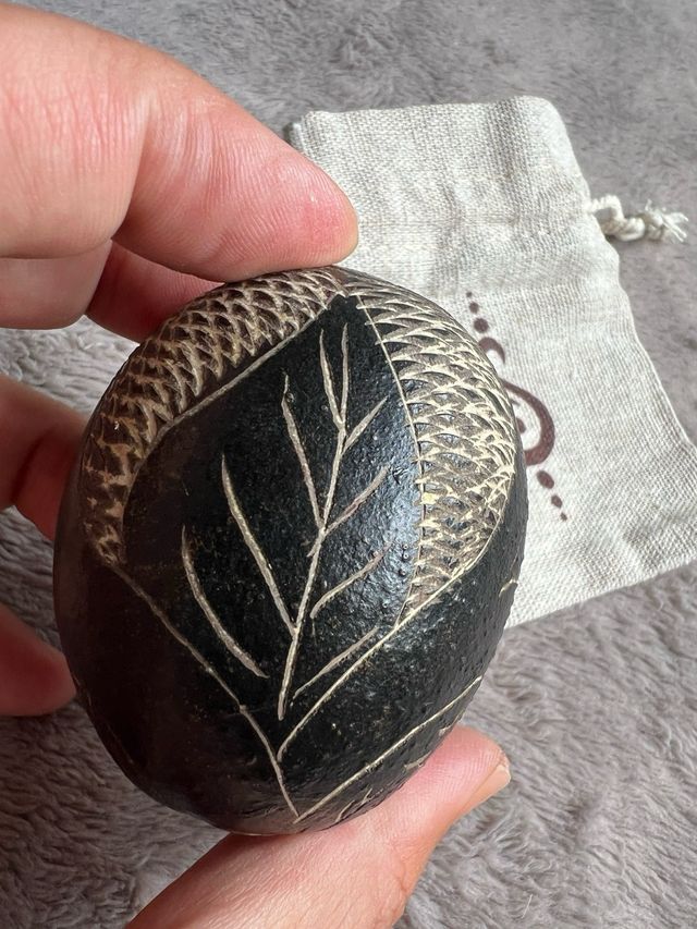 Maraca Huevo Sonaja Guacamayo