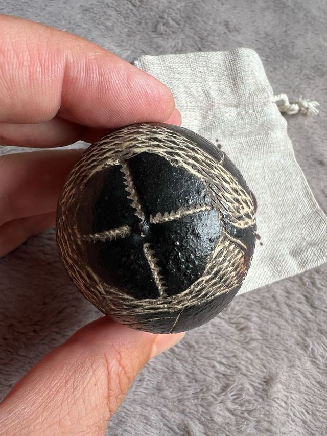 Maraca Huevo Sonaja Guacamayo