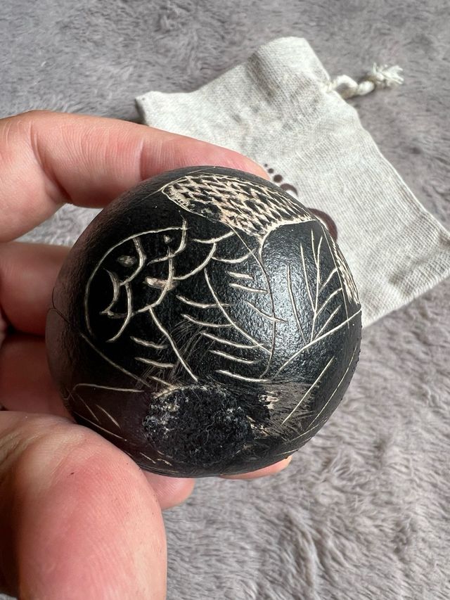 Maraca sonaja huevo Tucán