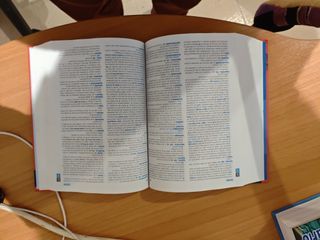 Diccionario de Secundaria y Bachillerato (Spani...