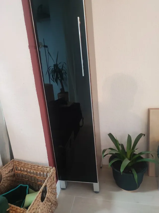 Armario alto cristal negro y madera