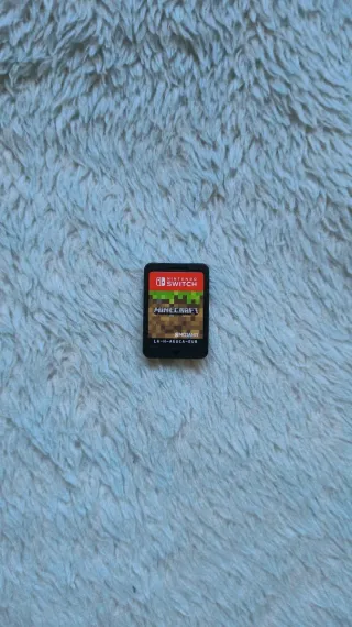 Minecraft Nintendo Switch