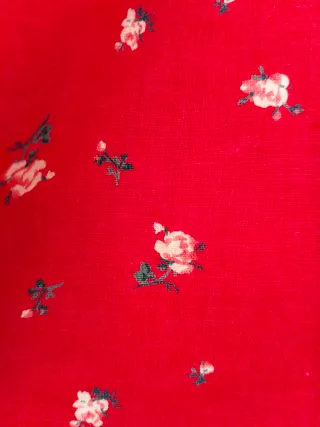Blusa Levi's Estampada Flores Rojas