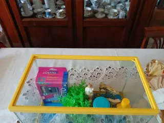 Acquario 20lt con accessori