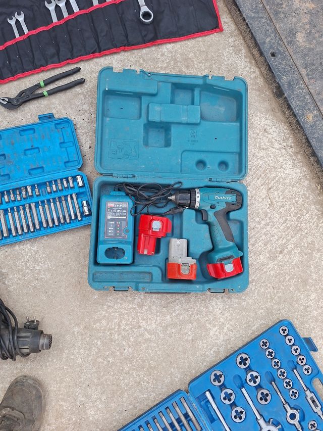 Lote de machos y terrajas