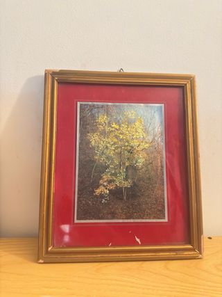 Quadro con albero giallo