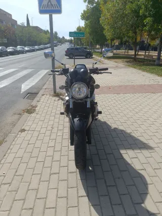 Suzuki GSF 650 Bandit