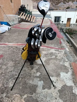 Bolsa de golf Spalding con 16 palos
