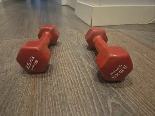 Mancuernas vinílicas 2,5 kg (par)