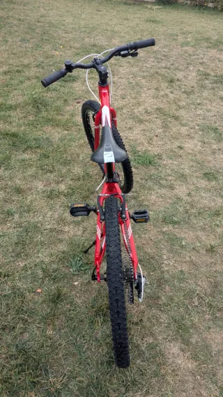 Bicicleta Orbea MX 24