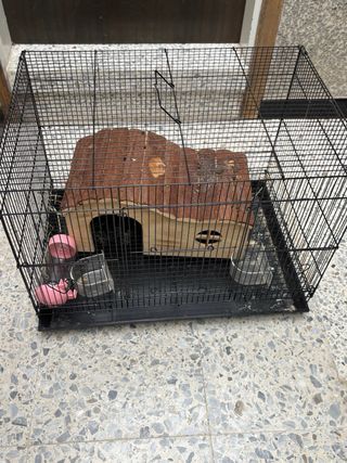 Jaula Conejo/Cobaya