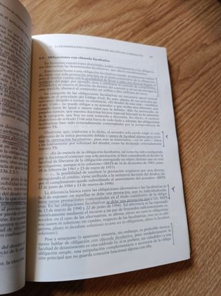 Principios de Derecho civil 25ª ed.: Tomo II: D...