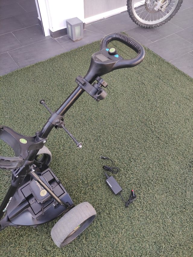 Carrito de golf eléctrico