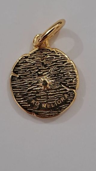 Colgante Medalla Rosa, Flechas, serpiente 