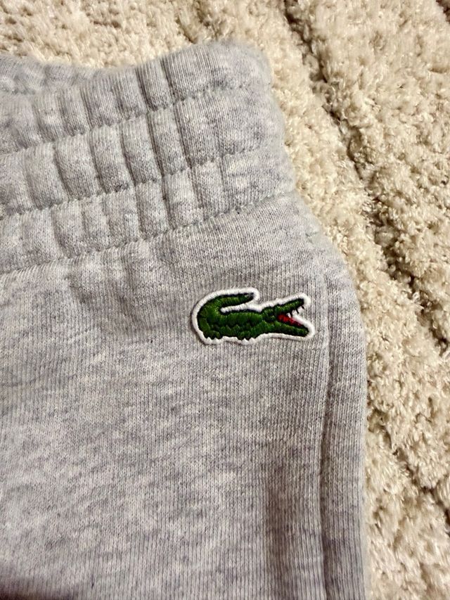 Conjunto Chándal Lacoste Gris, azul y Verde