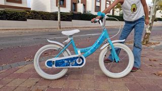 Bicicleta Frozen Edición Especial (con ruedines)