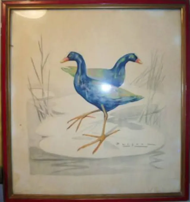 Acuarela Carlos Bécquer Aves