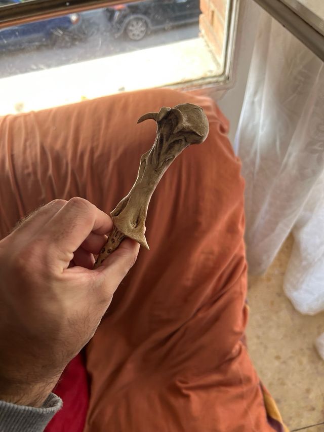 Varita de Voldemort Harry Potter