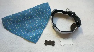 Accessori per animali domestici personalizzati