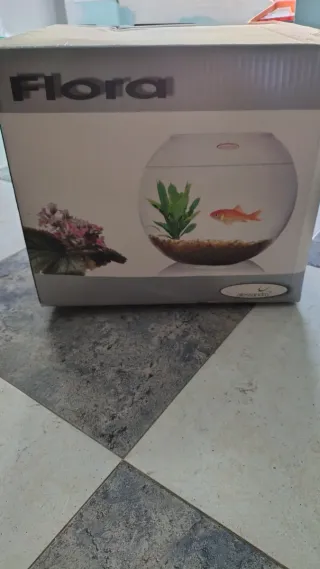 Pecera esférica de cristal