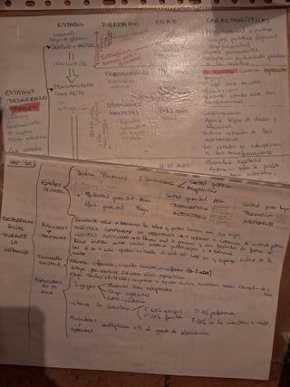 Psicología del desarrollo I (GRADO) (Spanish Ed...