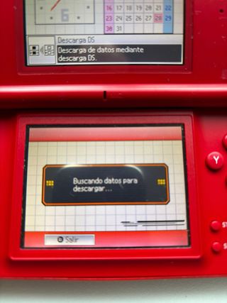Nintendo DS Lite Granate