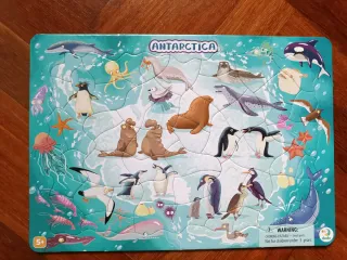 2 Puzzles Antártida +5 años