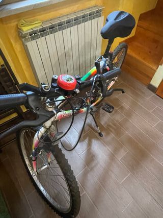 Bicicletta Romeo con telaio colorato