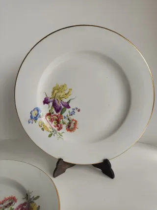 Platos de porcelana Royal China Vigo
