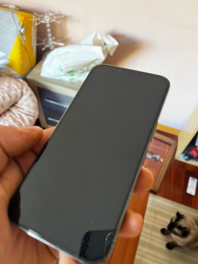 iPhone 13 Pro SE APAGA