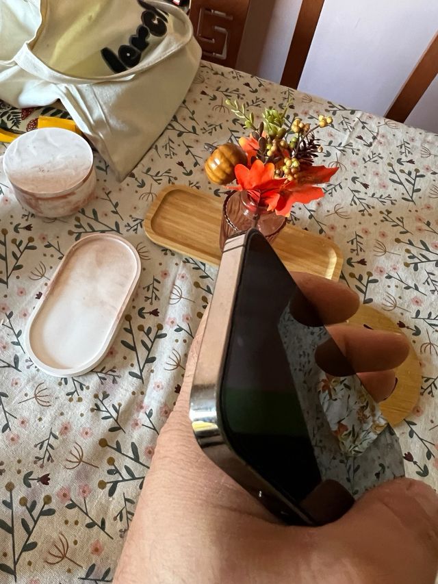 iPhone 13 Pro SE APAGA