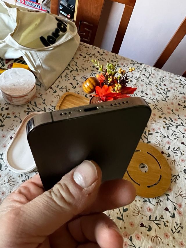 iPhone 13 Pro SE APAGA