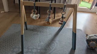 Gimnasio bebé Little Dutch