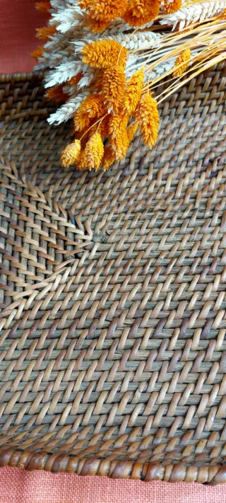 ⚜️ Bandeja de Ratán.