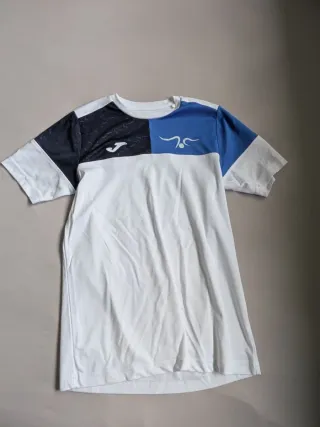 Les Moreres Gimnasia Artistica conjunto Lote 