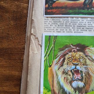 Álbum cromos La naturaleza y el hombre Completa