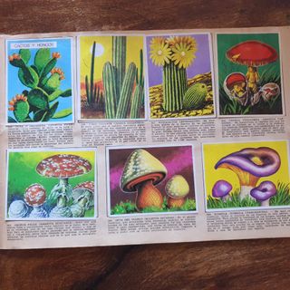 Álbum cromos La naturaleza y el hombre Completa