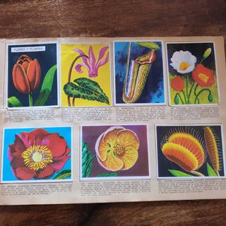Álbum cromos La naturaleza y el hombre Completa