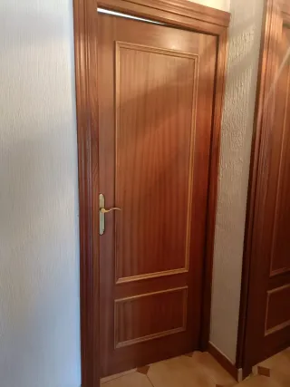 Puerta interior de madera
