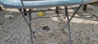 Mesa auxiliar mosaico mariposa