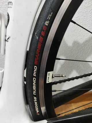 Bicicleta Carretera Carbono Liv Envie