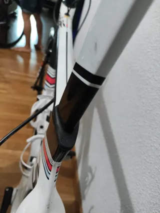 Bicicleta Carretera Carbono Liv Envie