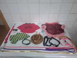 Set di vestiti e accessori per cani di piccola taglia