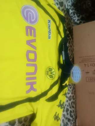 Maglietta calcio Kappa Evonik DVB