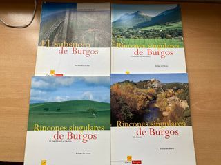 Lote 17 libros sobre Burgos: cultura, tradiciones