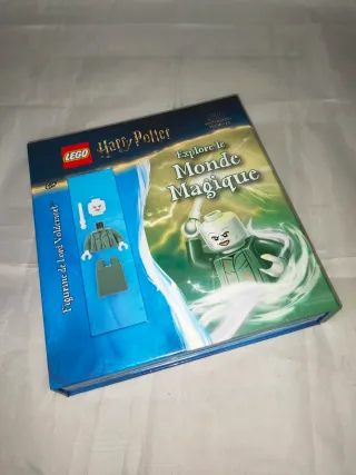 Lego Harry Potter - Libro Mondo Magique