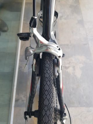 Bicicleta Goka Zero .8 Carbono